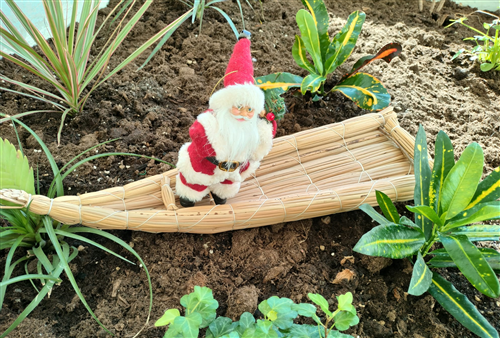 Natale in Laguna con Is fassonis - 2025 - Manifestazione di interesse